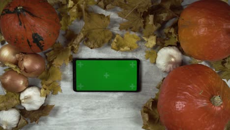 young woman puts chroma key mobile phone in horizontal orientation on board with fall composition