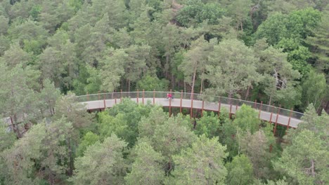 bike going through bridge surrounded by trees in belgium cycling through the trees in bosland