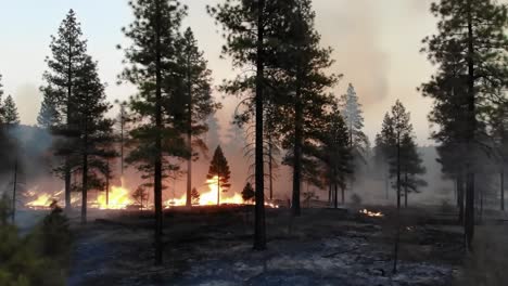 Aerial View of a Devastating Forest Fire with Fiery Flames and Smoke Rising Amidst Tall Pines, Capturing the Reckoning of Nature&#039;s Fury in a Scenic Landscape
