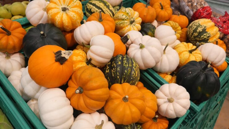 Un'esposizione colorata di zucche e zucchette.