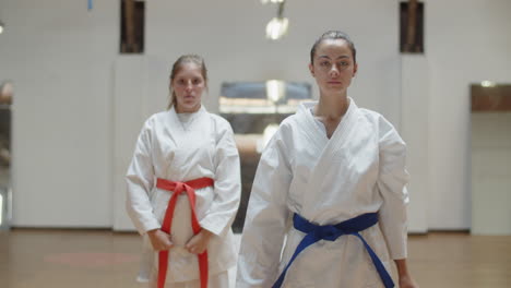 front view of martial artists demonstrating and defending poses