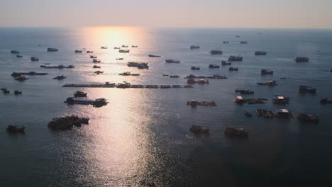 many fishing boats on the ocean at sunset