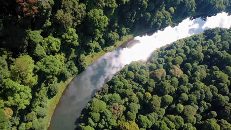 vista aérea de un río que fluye a través de un bosque