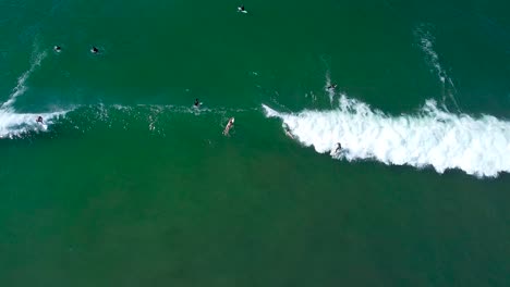 surfers at the oceanside pier in green water