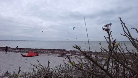 Kitesurfer-Aus-Der-Ferne-Hinter-Einigen-Ästen-An-Einem-Sandstrand-Beobachten,-Während-Der-Wind-über-Das-Meer-Weht