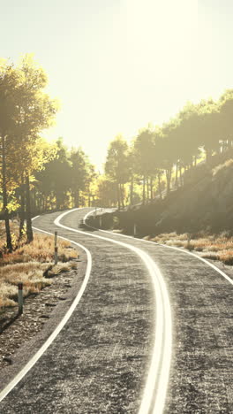 winding road through a forest in fall