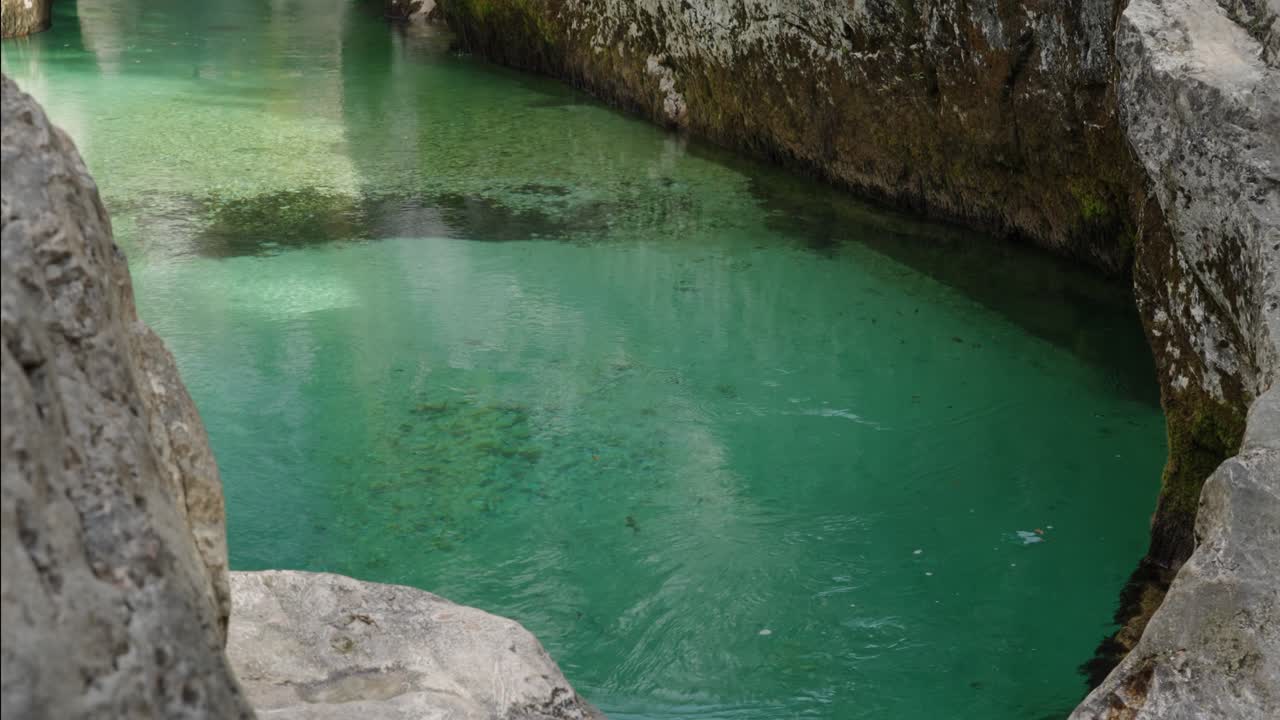 Acqua verde smeraldo cristallina e trasparente nella gola dell'Isonzo, Slovenia