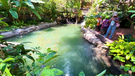 people observing a pond in lush surroundings