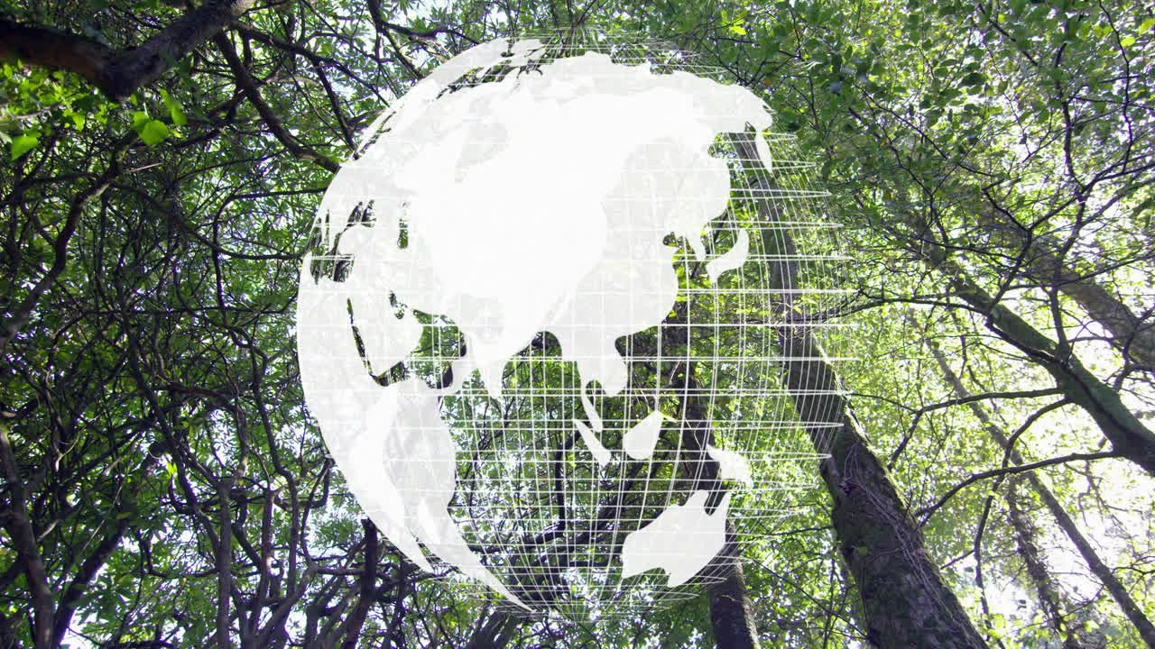 Animating white globe over green forest canopy, sunlight filtering through leaves