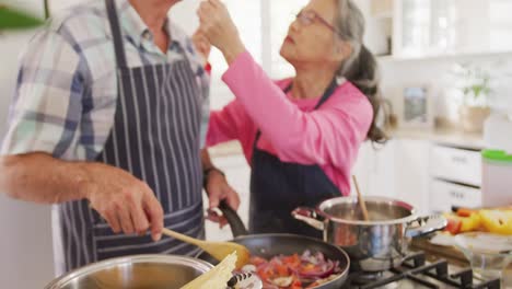 glückliches, vielfältiges älteres paar, das schürzen trägt und in der küche kocht