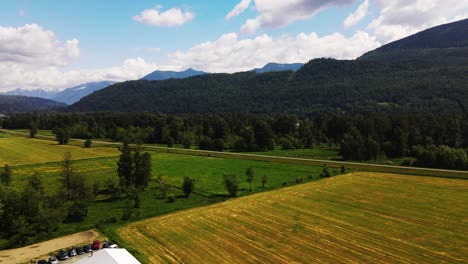 canada british columbia chilliwack bc aerial drone, mountain, river, trees, nature