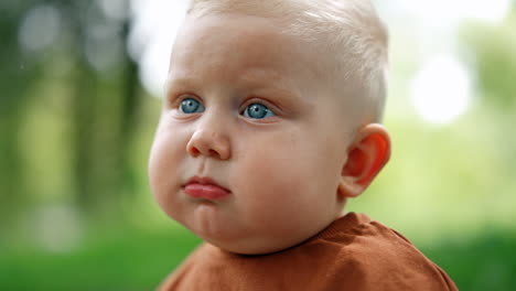face of a caucasian toddler boy with sweet plump cheeks. adorable baby portrait with blond hair and grey eyes. close up.
