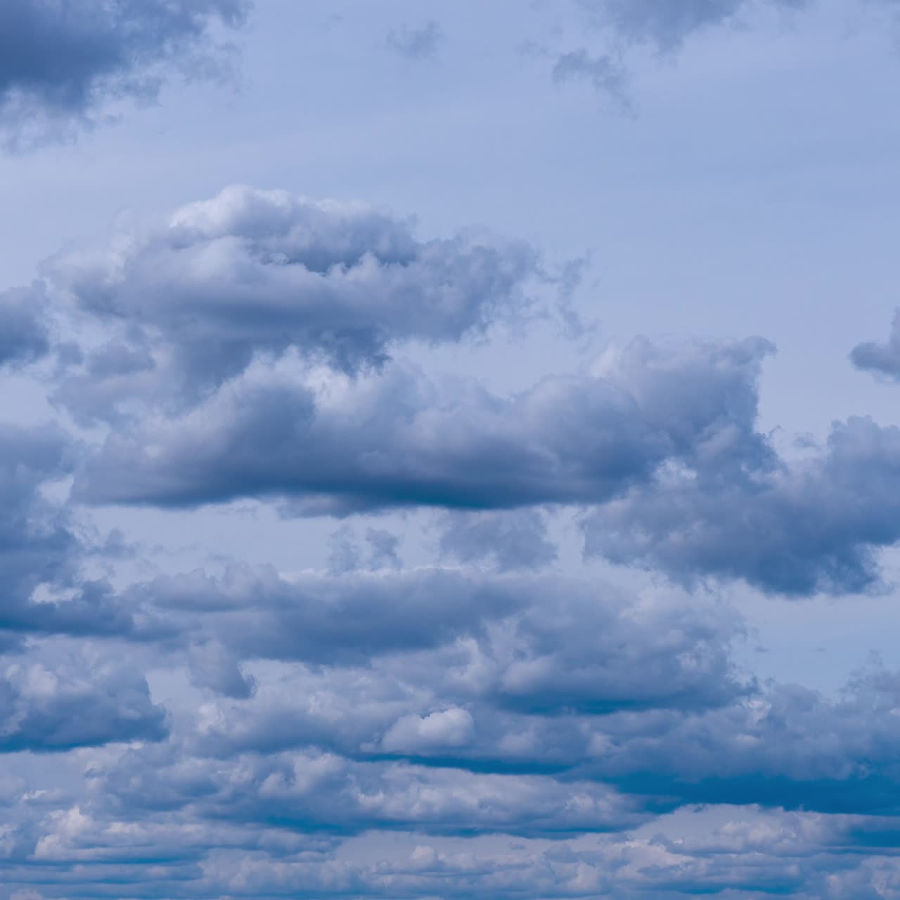 Dull grey horizon with multiple cumulus clouds. Cloudscape formation before the rain. Timelapse. Low angle view