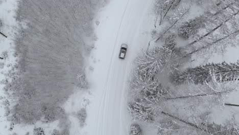 aerial tracking shot of a suv car on snowy road turning right in middle of snow covered trees in frozen forest, on a winter day - drone shot, tracking, top down