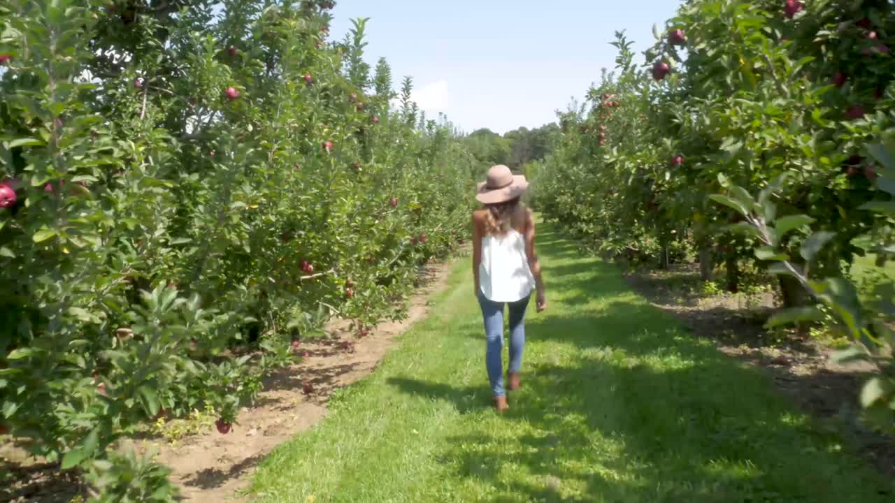 mujer de moda camina por un huerto soleado