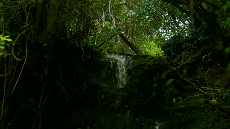 Cautivadora-Escena-De-Agua-Cayendo-Con-Gracia-Desde-Lo-Alto-De-Una-Majestuosa-Cascada,-Creando-Una-Fascinante-Exhibición-Del-Poder-Y-La-Belleza-De-La-Naturaleza.