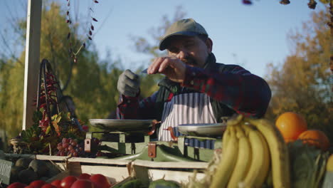 farmer with bushy mustache prepares point of sale farmer with bushy mustache prepares point of sale to the start of a productive work day senior man feels happiness engages favorite job vegetarian and organic food agriculture