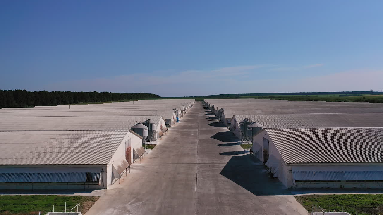 Large silver granary. Modern grain elevators. Metal industrial silos for agribusiness.