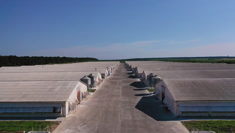 large silver granary. modern grain elevators. metal industrial silos for agribusiness.