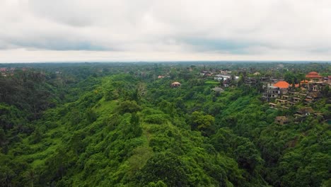 Wunderschöne-Filmische-Ubud-,-Bali-Drohnenaufnahmen-Mit-Exotischen-Reisterrassen,-Kleinen-Farmen,-Campuhan-Ridge-Walk-Und-Agroforstplantage
