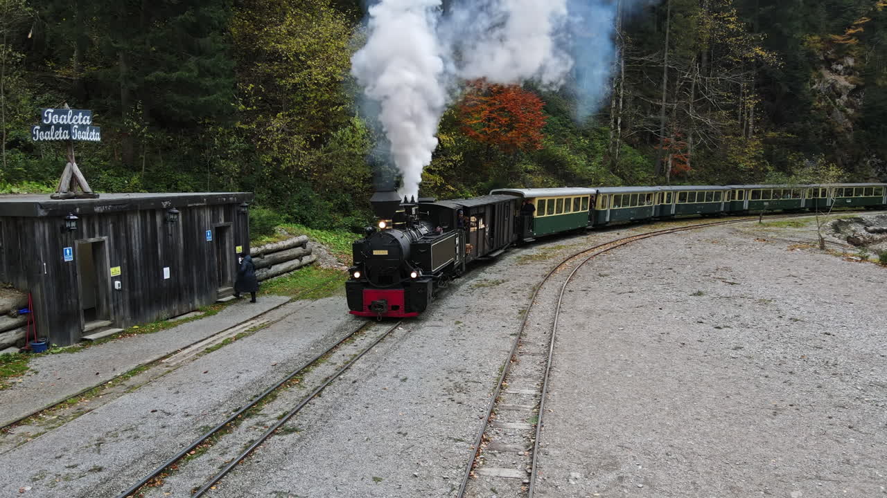 A vintage steam train traveling through the forest in autumn