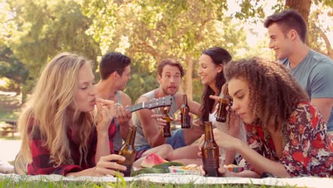 hipster man playing guitar in park while his friends drinking beers