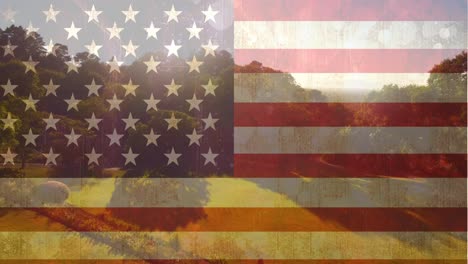 Amerikanische-Flagge-Vor-Hübscher-Grüner-Landschaft