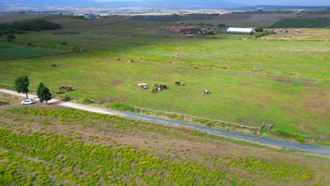 Smooth-aerial-top-view-flight-Tuscany-meditative-valley,-village-Italy-fall-23