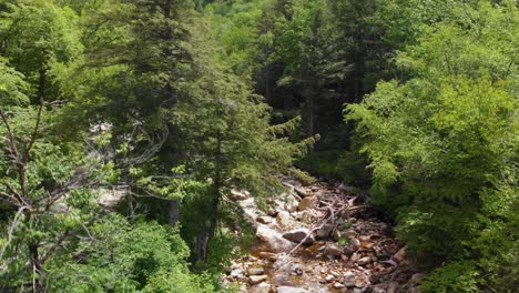 Rápido-Ascenso-Aéreo-Y-Revelación-De-Verdes-Montañas-Y-Bosques-En-Vermont,-Estados-Unidos