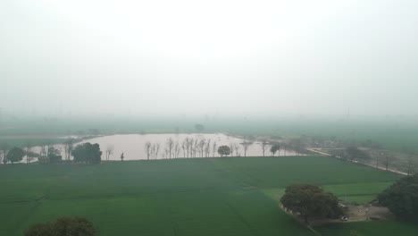 village-crop-fields-right-to-left-wide-view