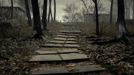 old-abandoned-garages-in-the-forest