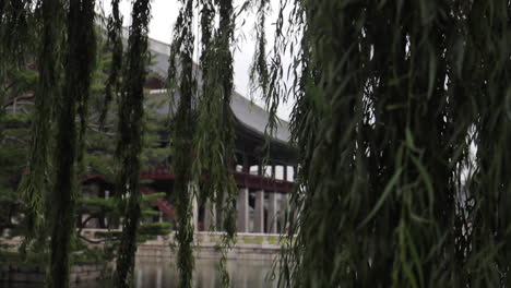 Sauce-Colgando-Frente-Al-Templo-En-El-Palacio-Gyeongbokgung-Corea-Del-Sur