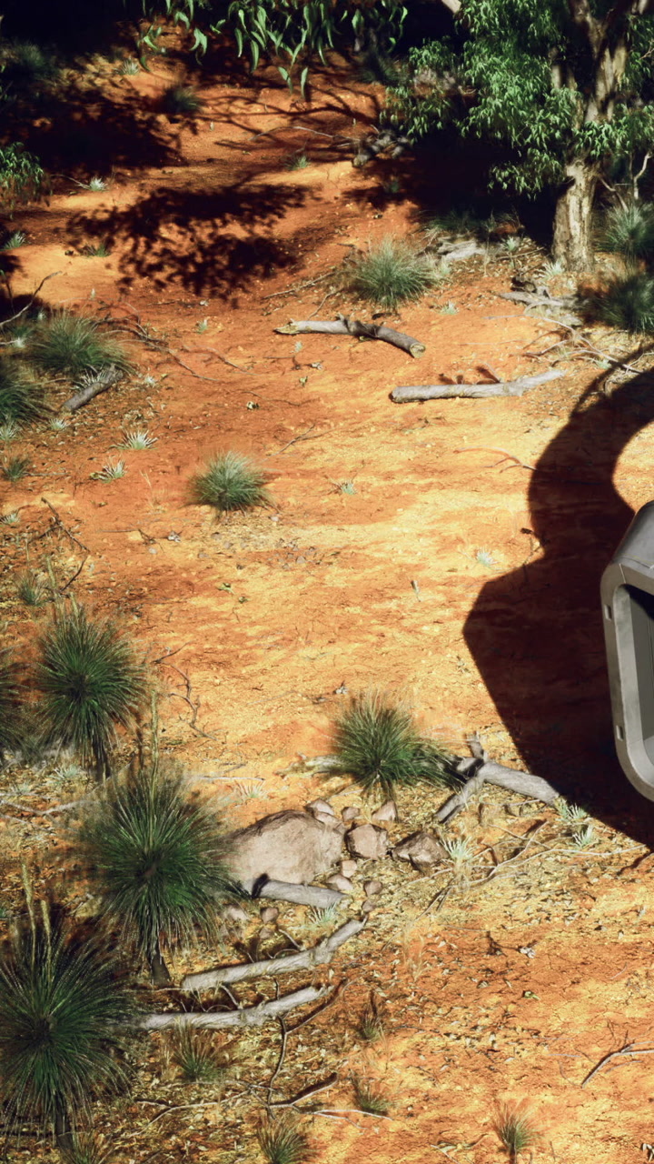 View of desert terrain with plants and rocks under bright sunlight