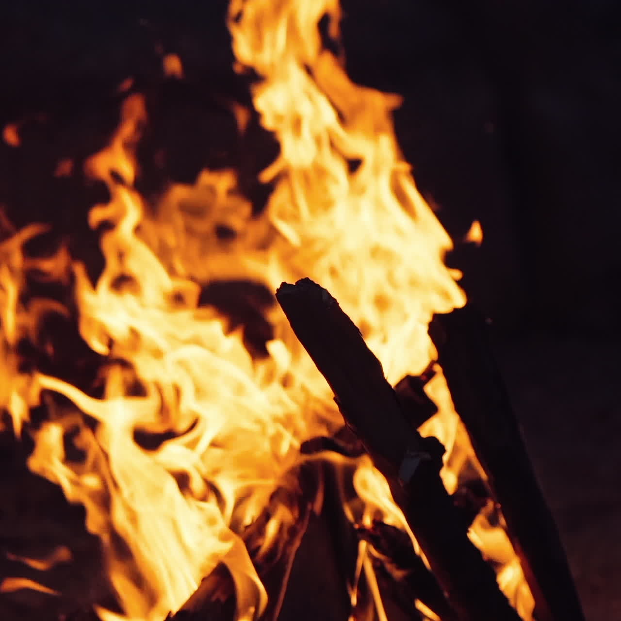 Bonfire. Burning logs in orange flames. Beautiful fire burns brightly. Slow motion