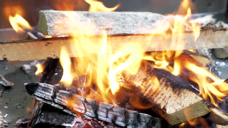 Burning-wood-in-the-fire,-close-up-view
