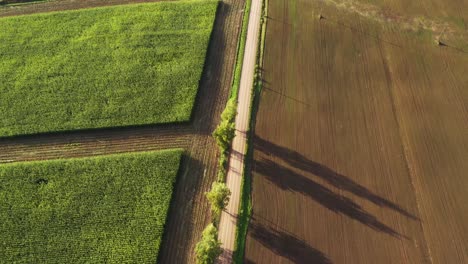 Empty-gravel-countryside-road-with-intersection-surrounded-by-agriculture-fields