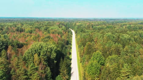 there is an asphalt road in the middle of the forest, drone shot, camera zooms in