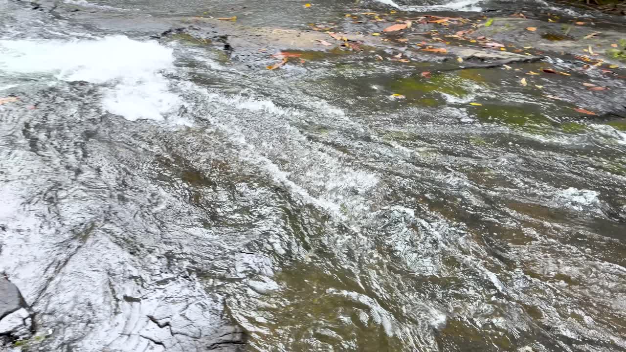 Un'inquadratura grandangolare cattura acqua dolce che scorre impetuosamente su rocce scure all'interno di una lussureggiante foresta tropicale.