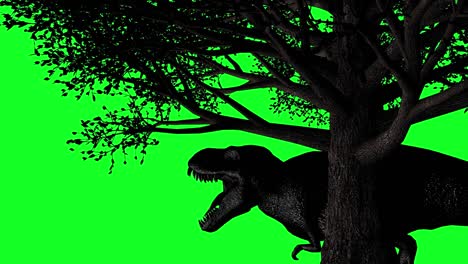 black dinosaur roaring under a tree green screen