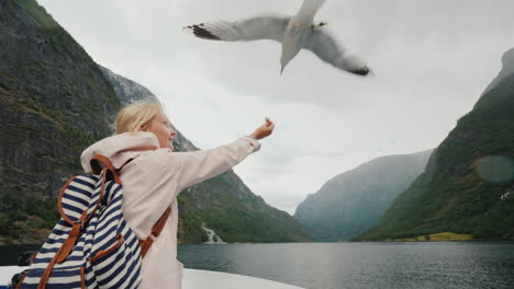 A-Woman-Is-Feeding-A-Gull-That-Flies-By-Trust-And-Tame-The-Concept-Journey-Through-The-Fjords-Of-Nor