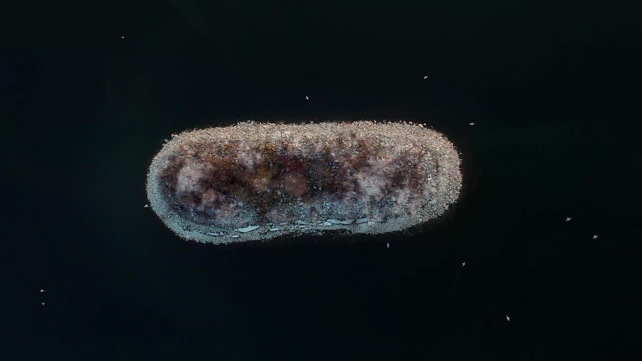 vista aérea de aves volando alrededor del islote en el lago czorsztyn en malopolska, polonia