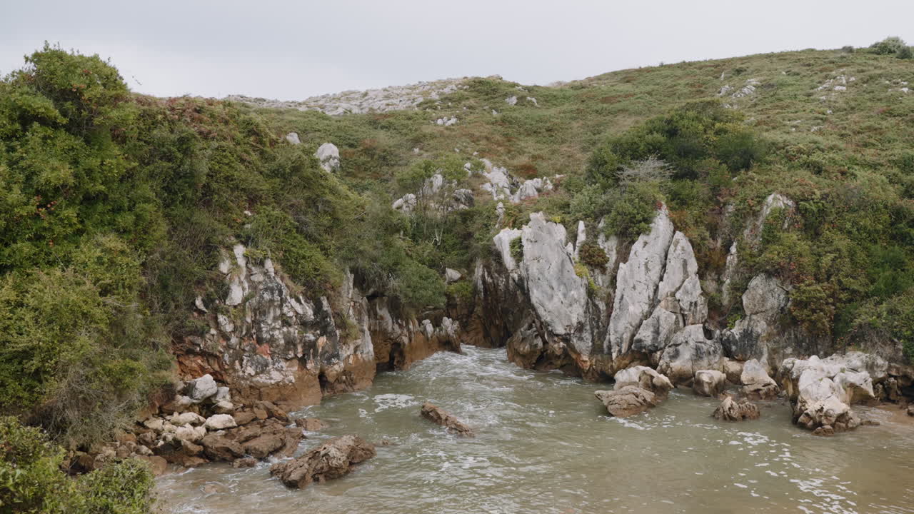Costa rocciosa con vegetazione lussureggiante