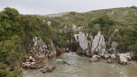 rocky coastline with lush vegetation