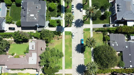 drone flies over street lined with palm trees and mcmansions with pools, in classic west hollywood, los angeles, callifornia neighborhood