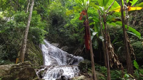 wide view inside lush jungle with cascading waterfall