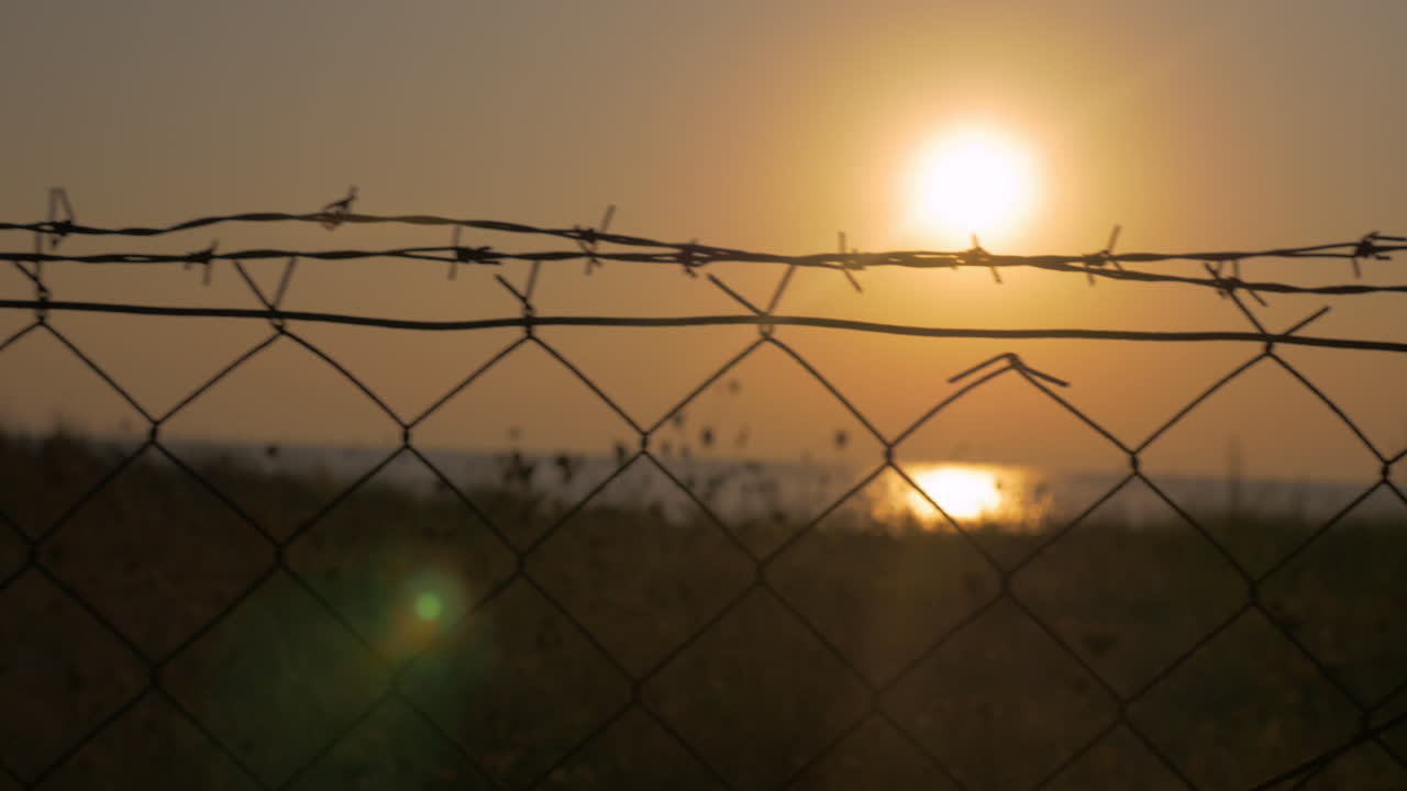가시선을 통해 바다를 보았다
