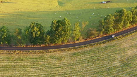 rural road landscape