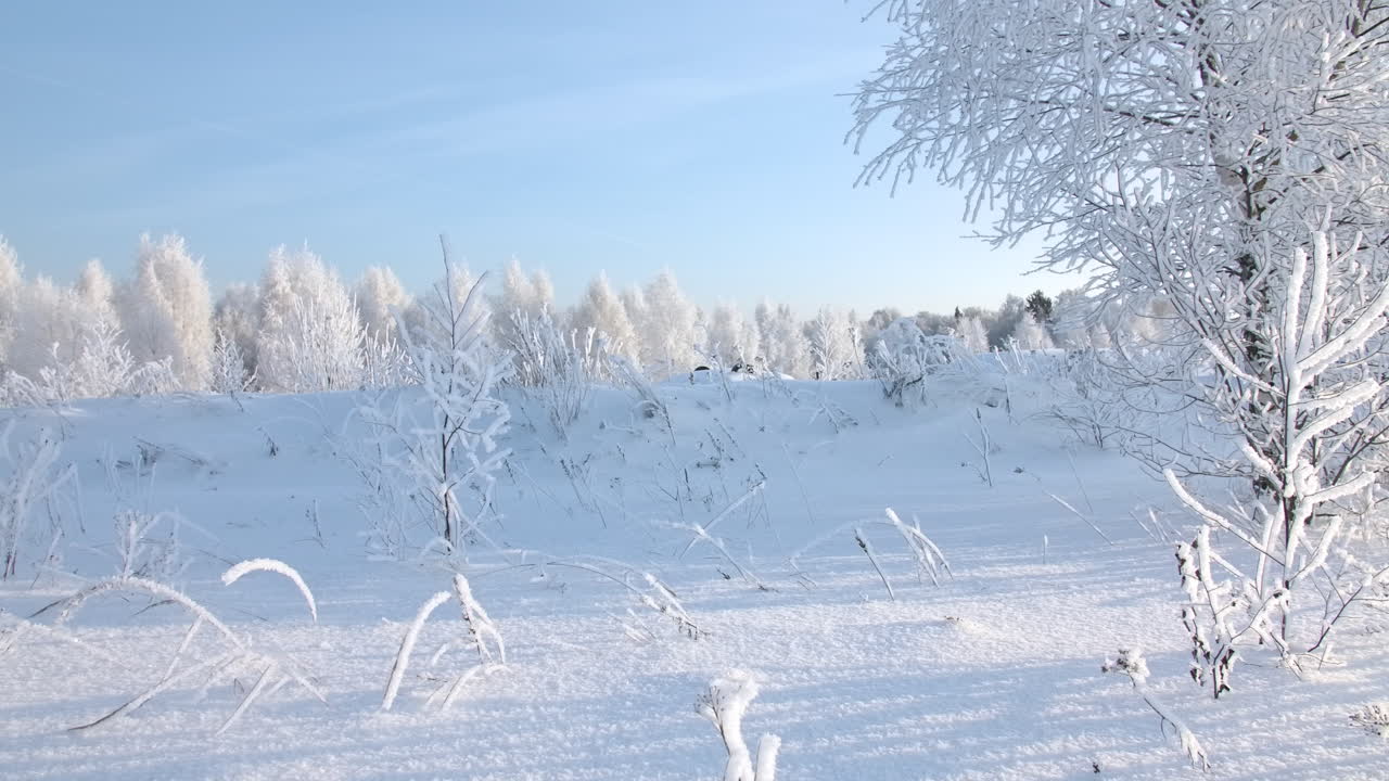 얼음 인 나무 들 이 있는 겨울 의 경이로운 풍경