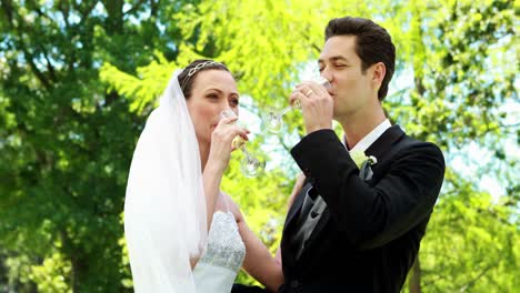 happy newlyweds drinking champagne in the countryside