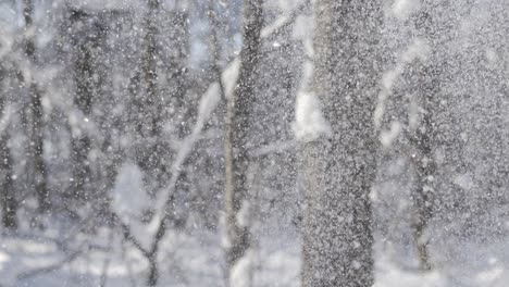 paisaje de invierno durante las nevadas. fondo abstracto de navidad de invierno en súper cámara lenta.